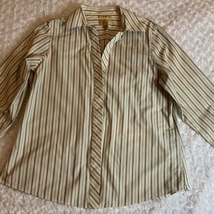 Investments Taylor Gold Label Non-Iron Button Front Shirt 100% Cotton Size 14